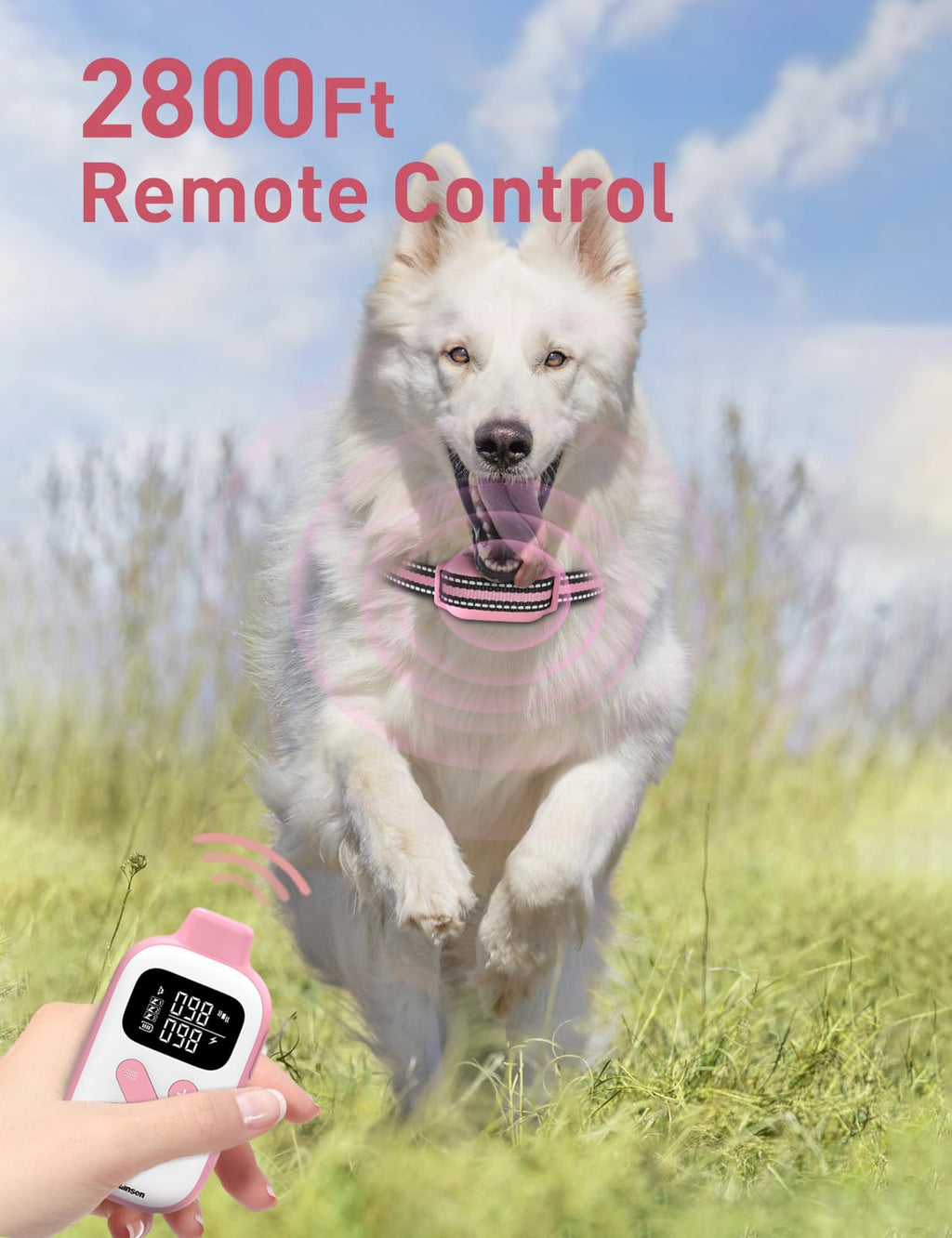 Beep and Vibrating Dog Collar with Remote L3229