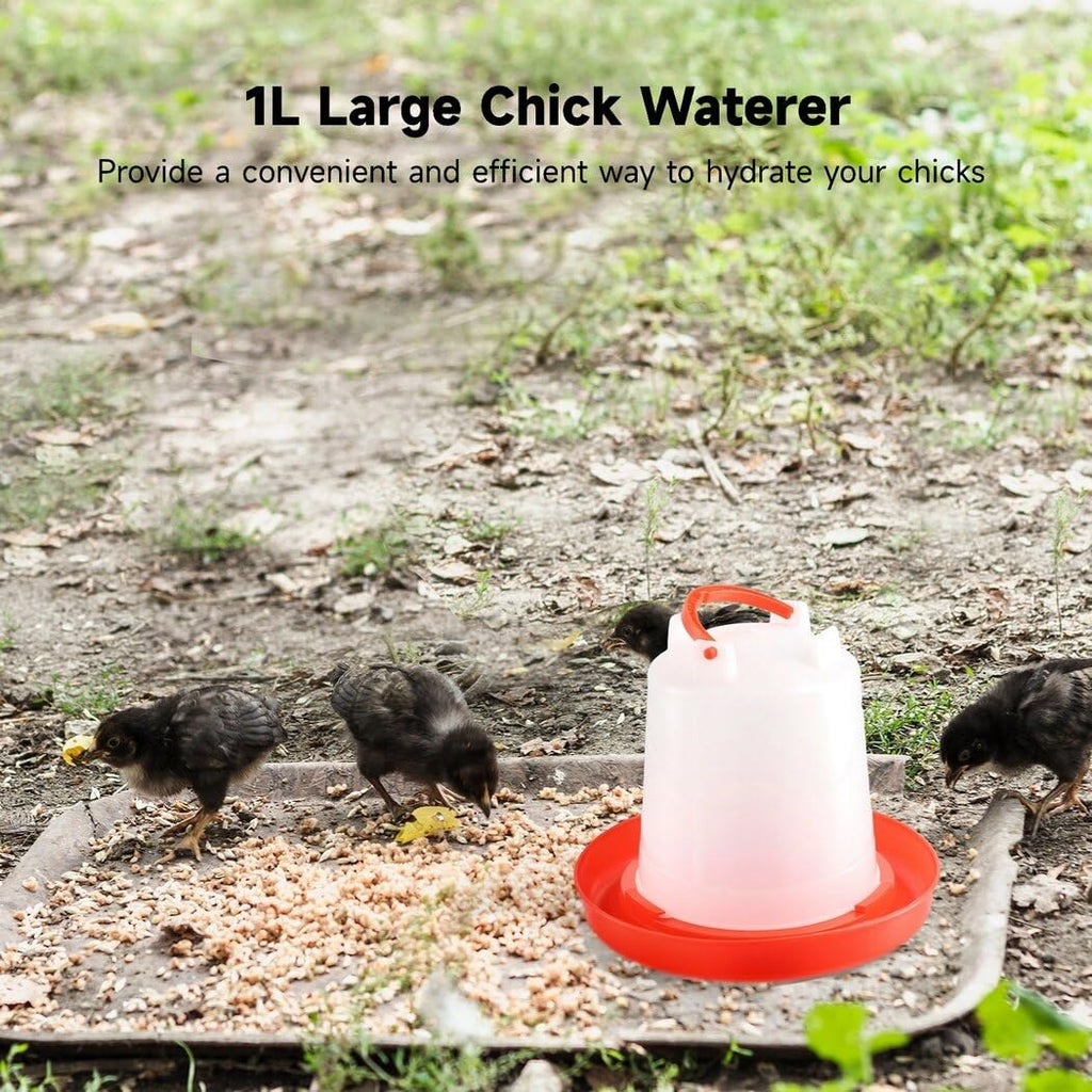 4-Pack 1L Poultry Waterer with Handle Y641892