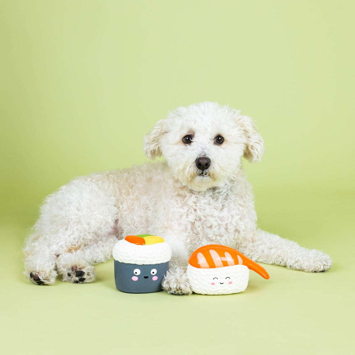 Set of 2 Latex Dog Toy Sets R994