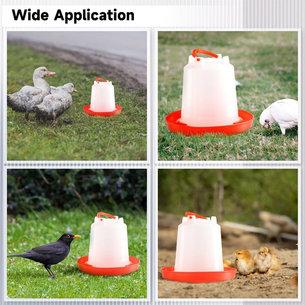 4-Pack 1L Poultry Waterer with Handle Y641892
