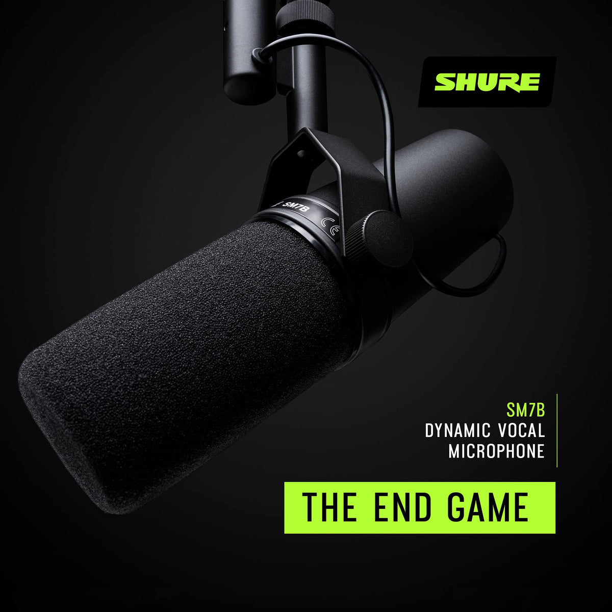 Dynamic Vocal Microphone P77918
