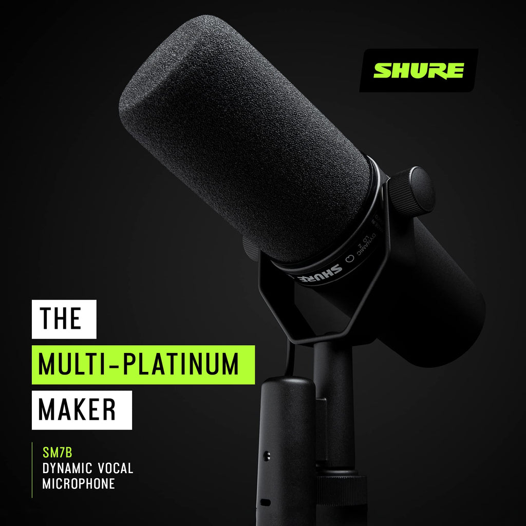 Dynamic Vocal Microphone P77918