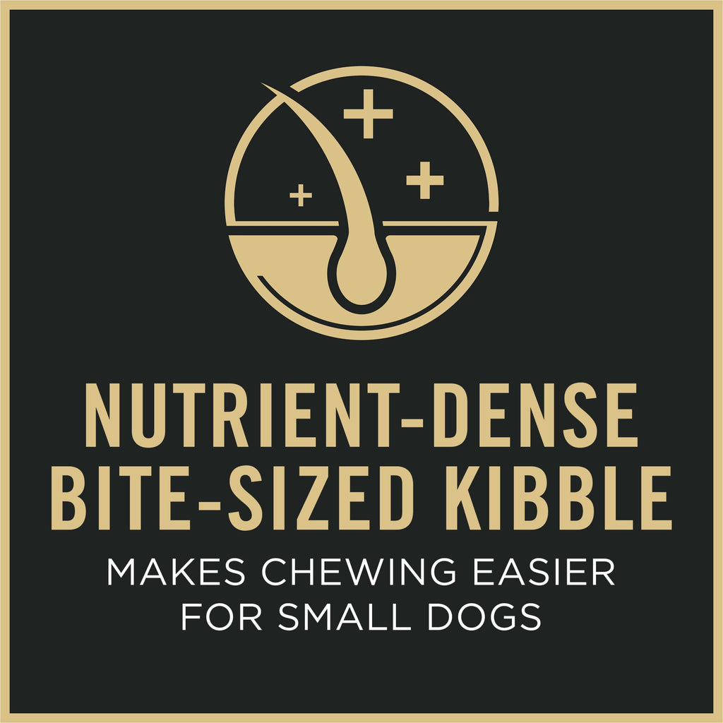 Senior Small Breed Dog Food 6 lb Bag K920662