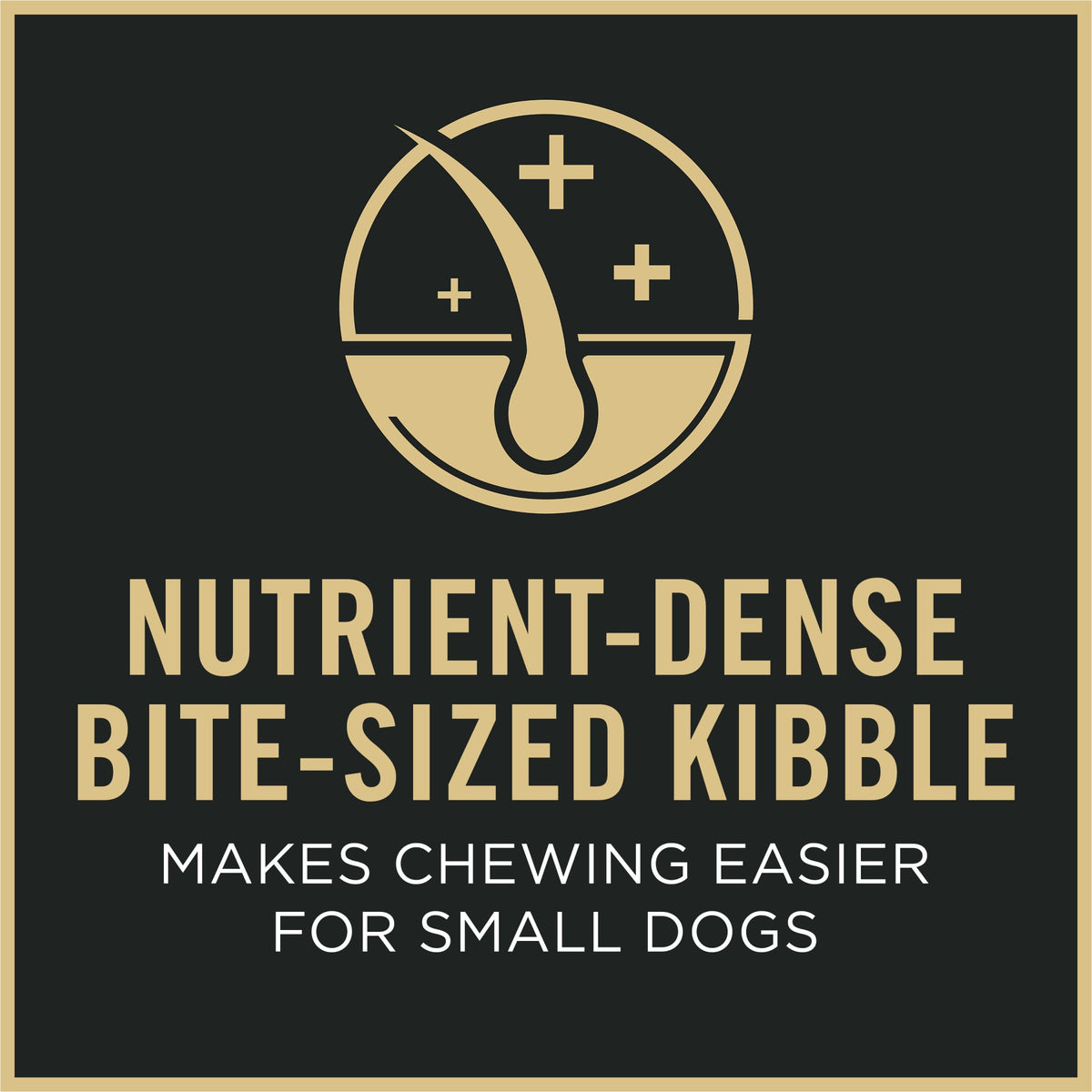 Senior Small Breed Dog Food 6 lb Bag K920662