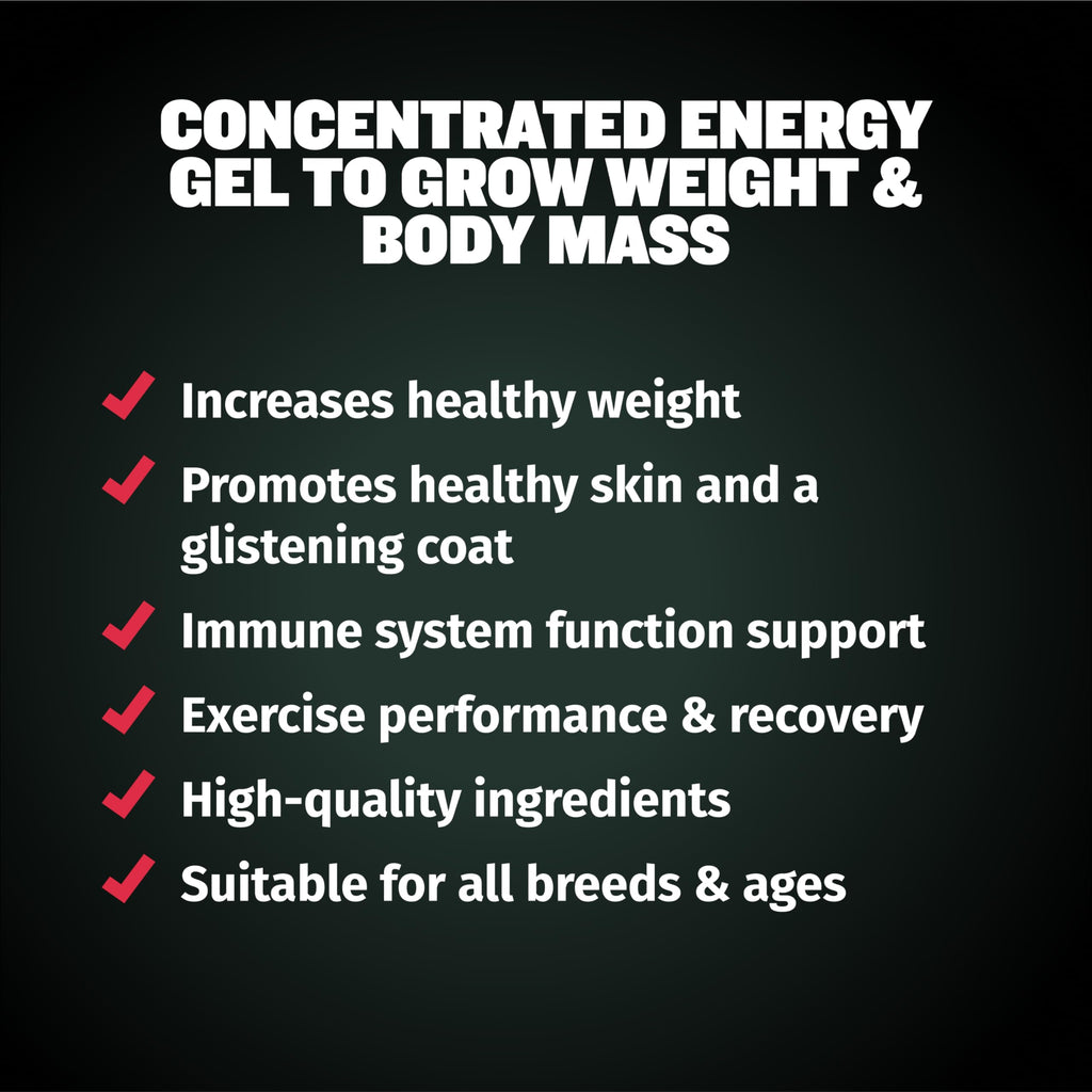 High-Calorie Liquid Weight Gainer & Soft Chews for Dogs D83134