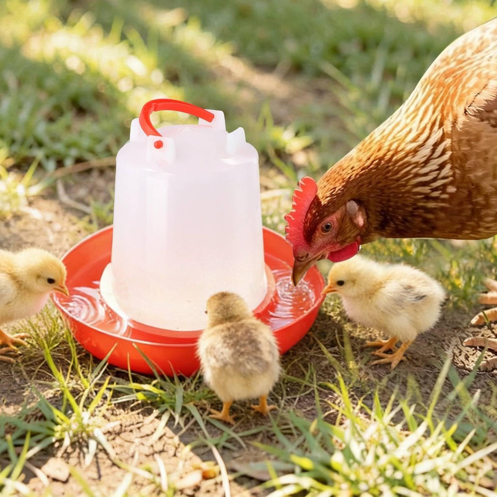 4-Pack 1L Poultry Waterer with Handle Y641892