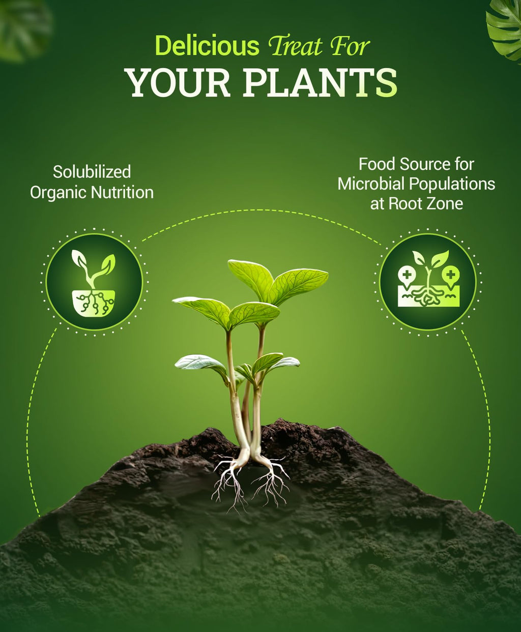 Liquid Plant Fertilizer 0-1-3 1 Pint Y71588