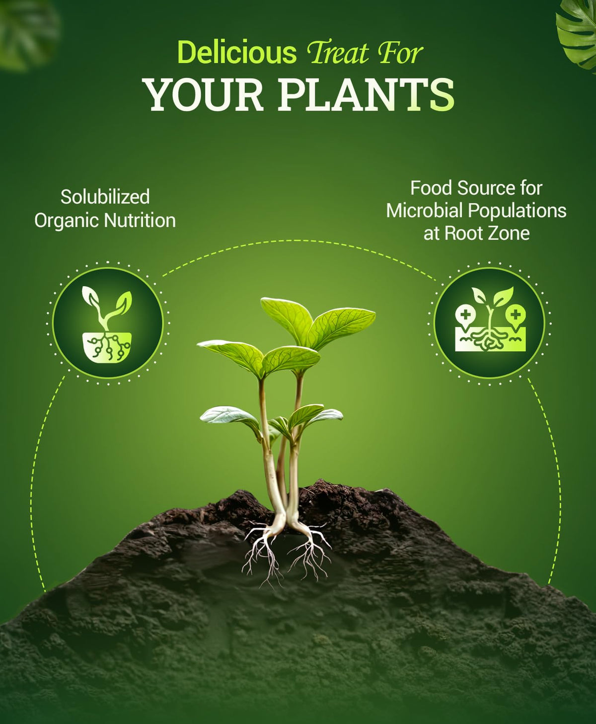 Liquid Plant Fertilizer 0-1-3 1 Pint Y71588