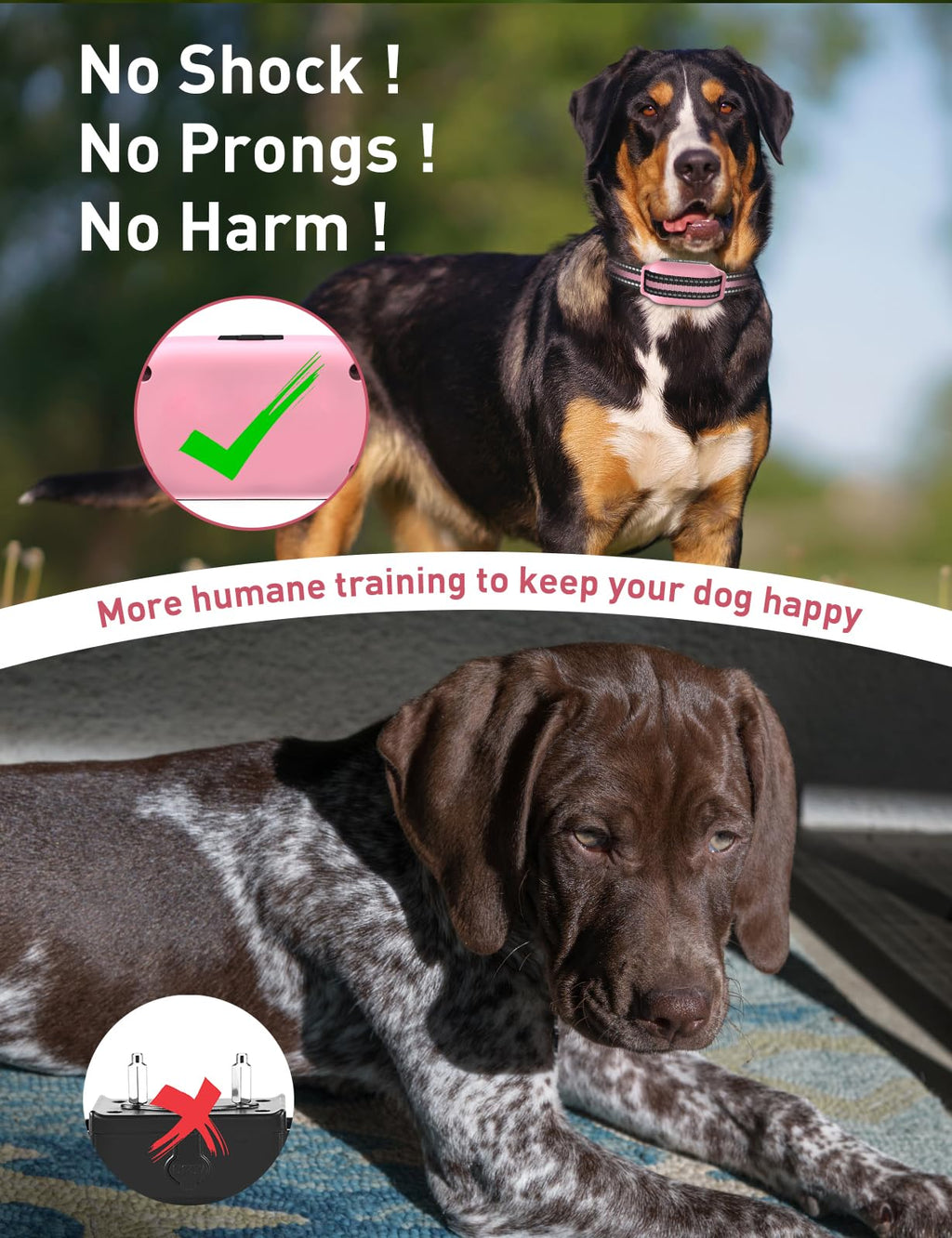 Beep and Vibrating Dog Collar with Remote L3229