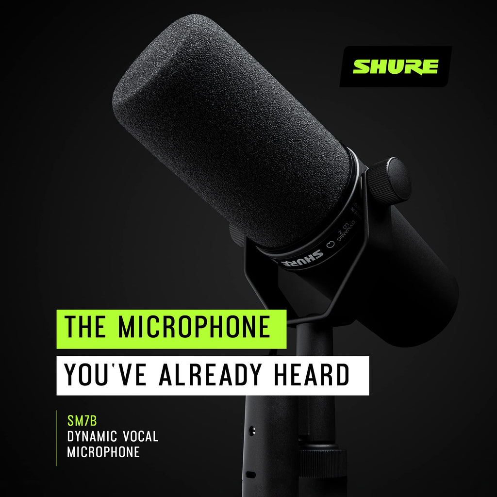 Dynamic Vocal Microphone P77918