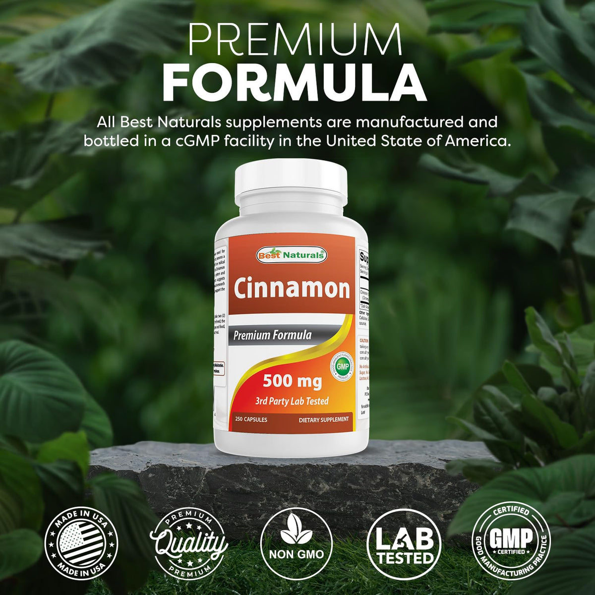 Cinnamon 500 mg 250 Capsules Pack of 2 I462940
