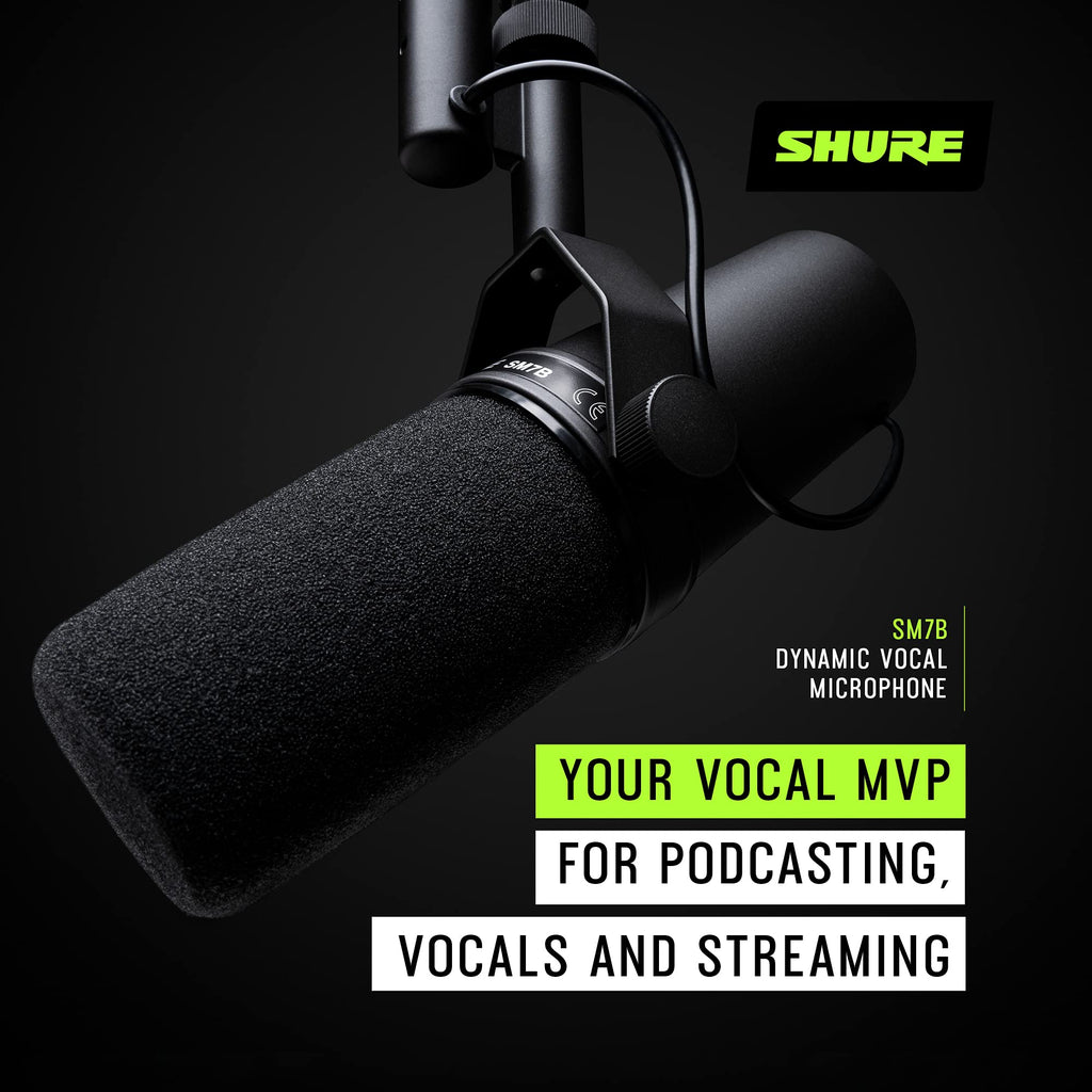 Dynamic Vocal Microphone P77918