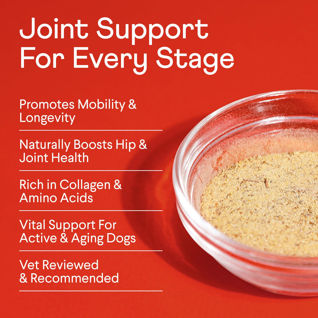 Bone Broth Plus for Dogs 8 oz U30272