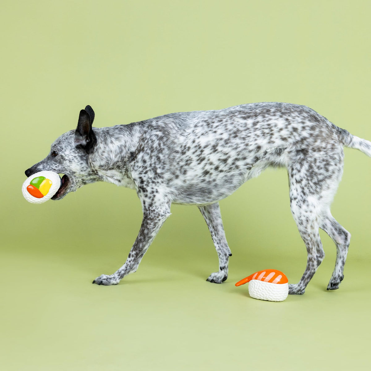 Set of 2 Latex Dog Toy Sets R994