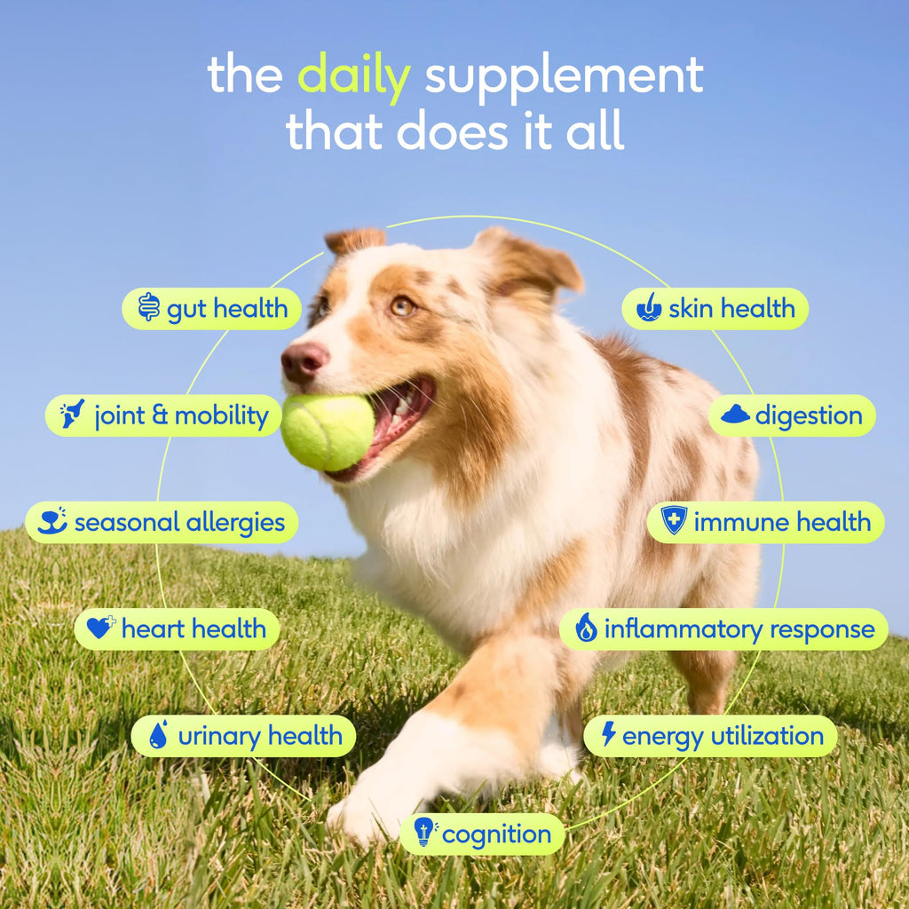 Dog Multivitamin Powder with Probiotics W653