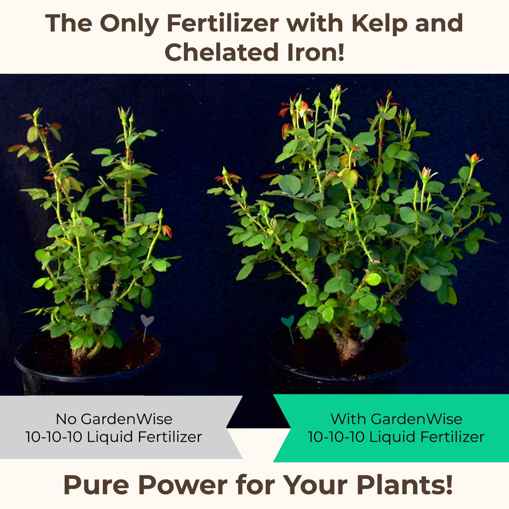10-10-10 All Purpose Liquid Fertilizer with Seaweed Kelp & Iron 16 oz A2291
