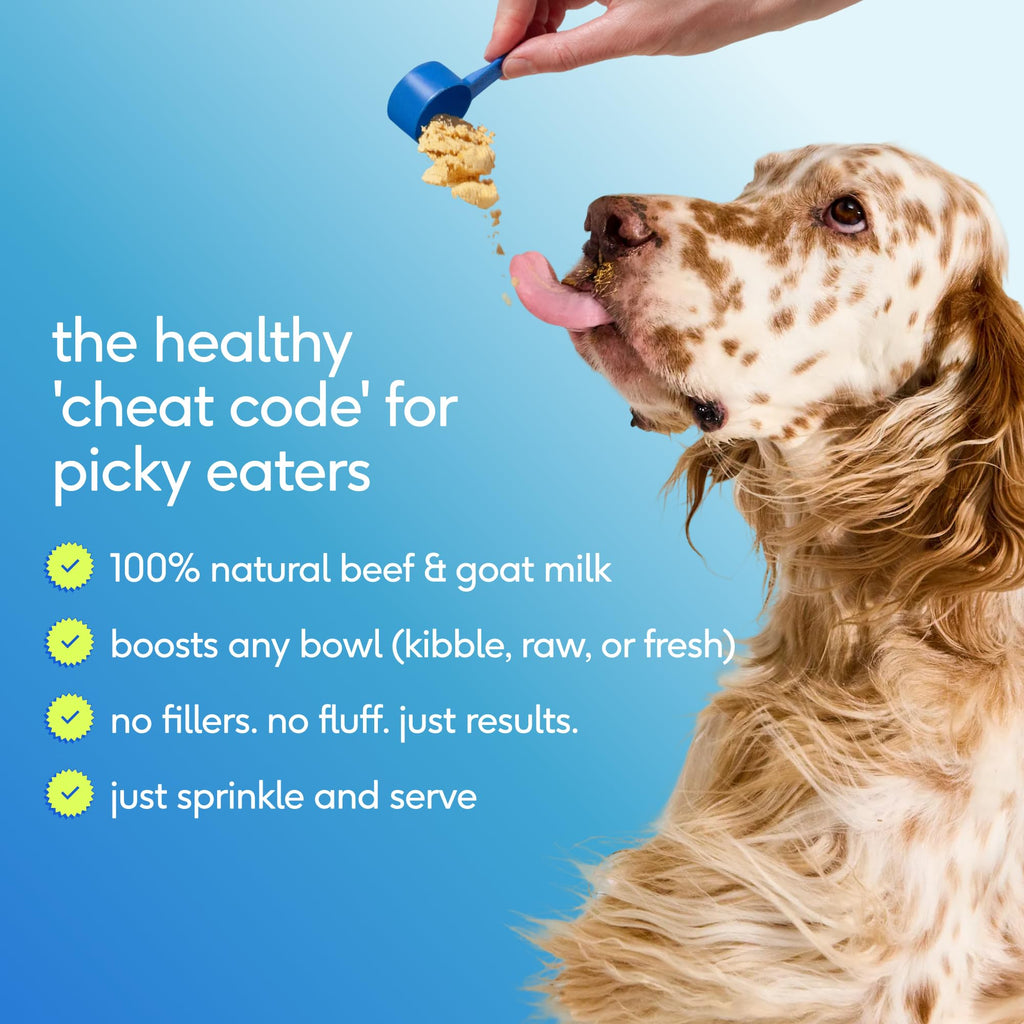 Dog Multivitamin Powder with Probiotics W653