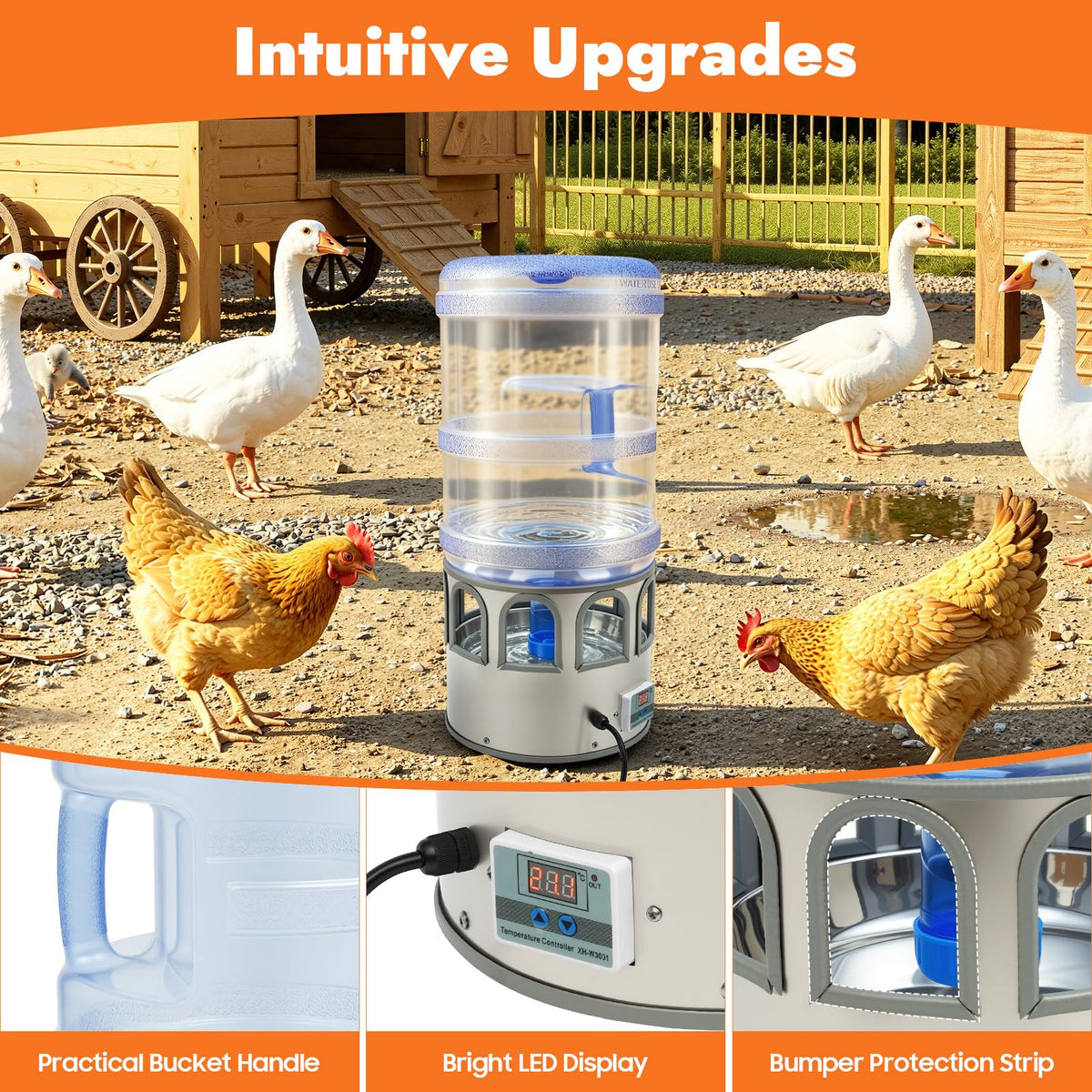 5 Gal Heated Chicken Waterer 80W Adjustable Temperature K595