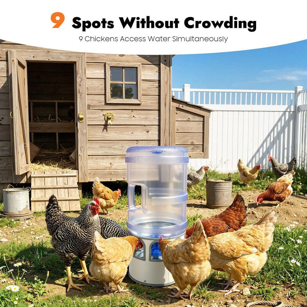 5 Gal Heated Chicken Waterer 80W Adjustable Temperature K595