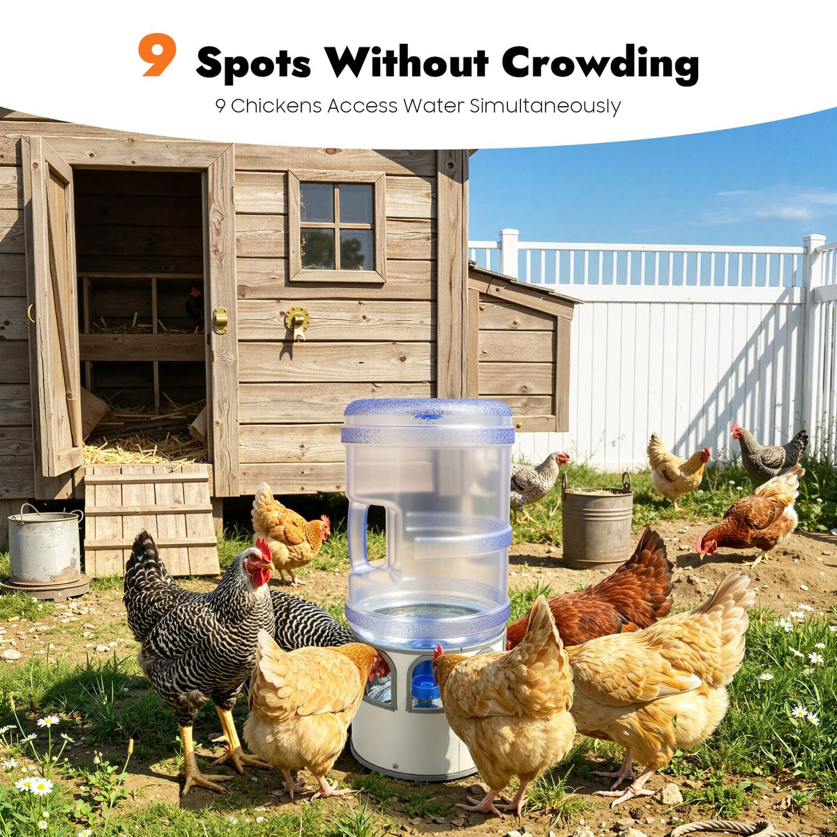 5 Gal Heated Chicken Waterer 80W Adjustable Temperature K595