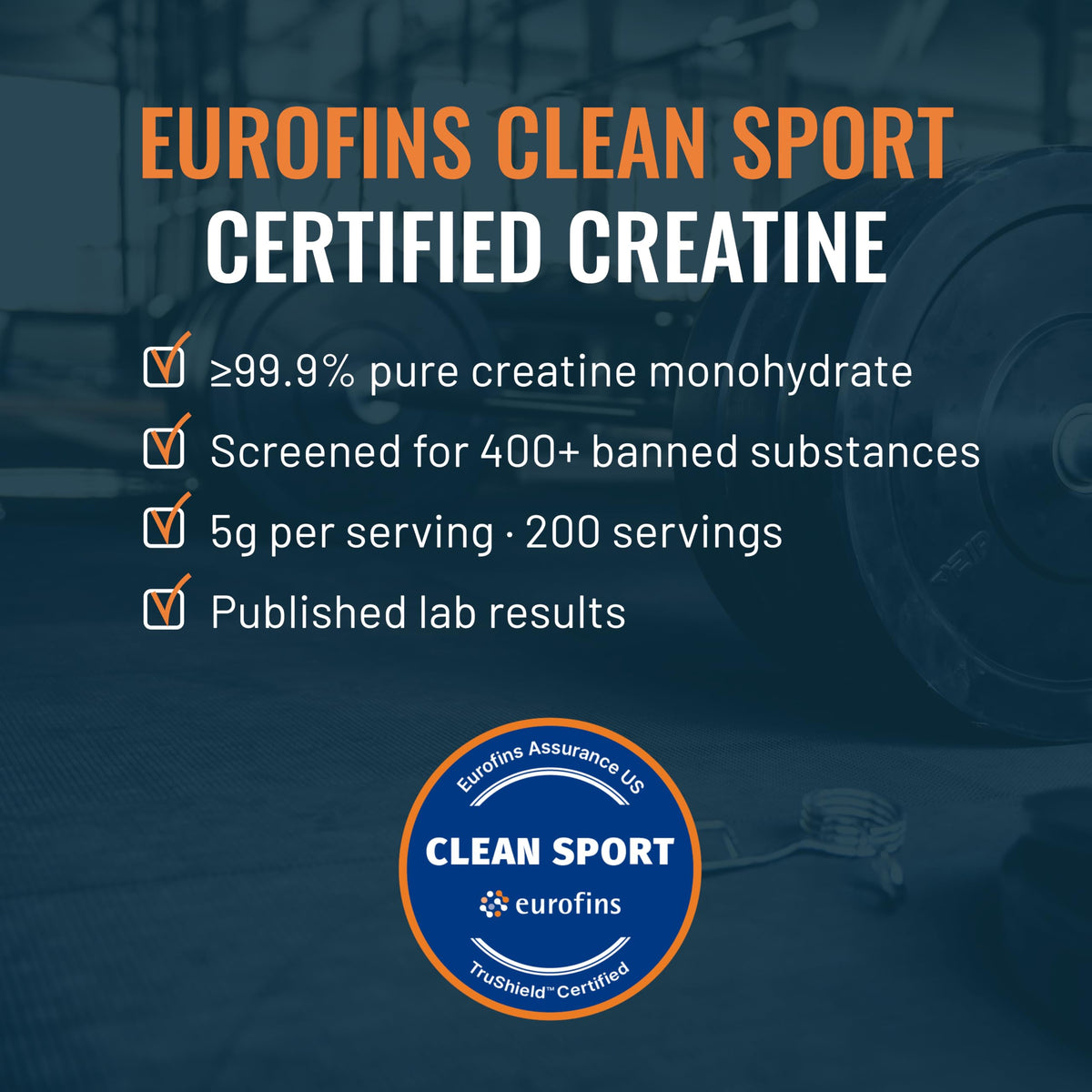 Unflavored Micronized Creatine Monohydrate Powder 1kg P81817