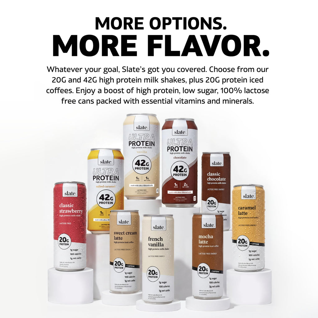 High Protein Milk Shake Classic Chocolate 12 Cans 11 fl oz T843