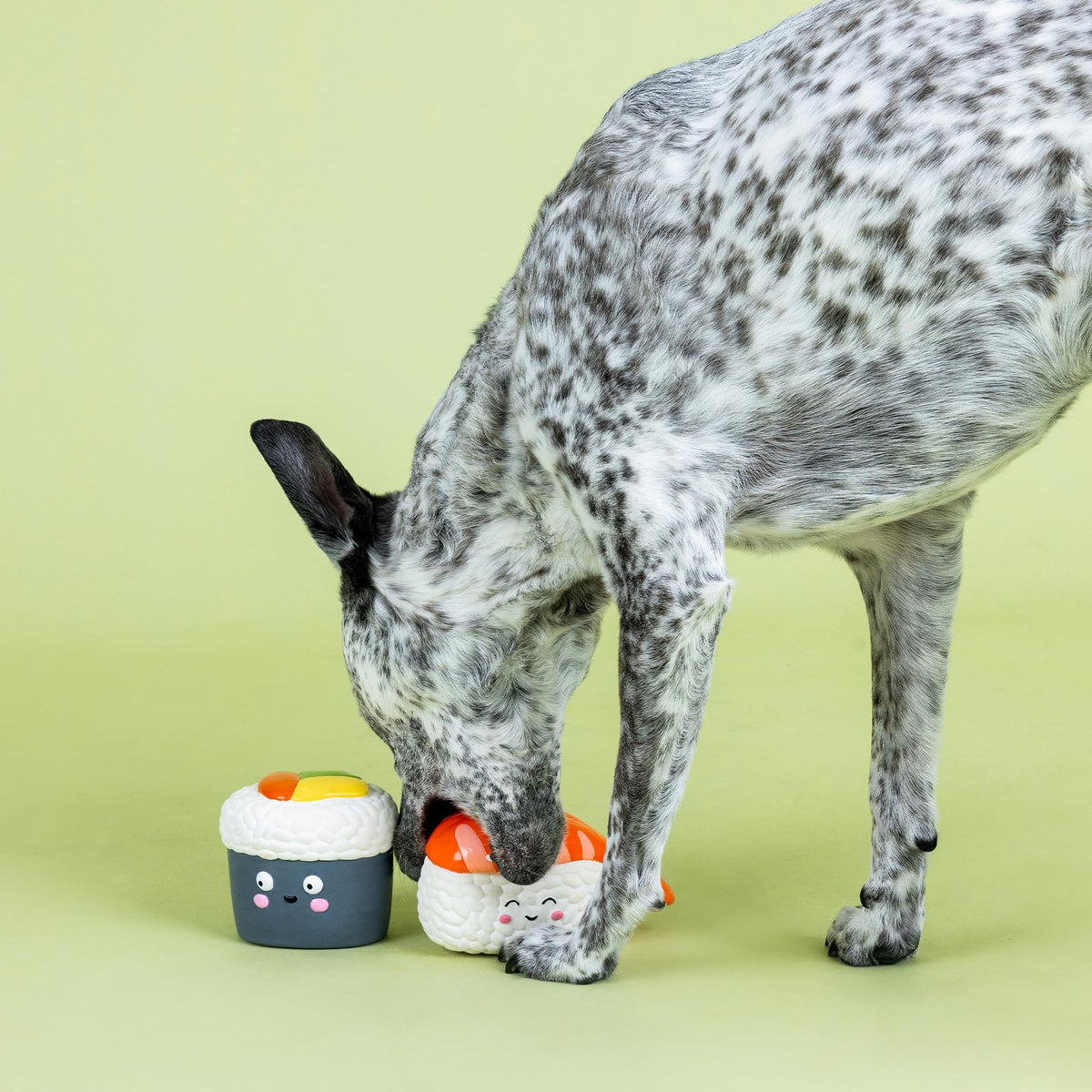Set of 2 Latex Dog Toy Sets R994