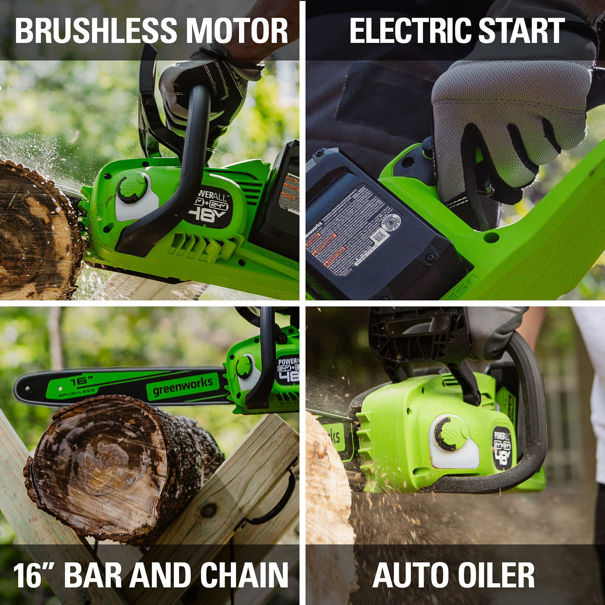 48V 16 in Cordless Electric Chainsaw T194