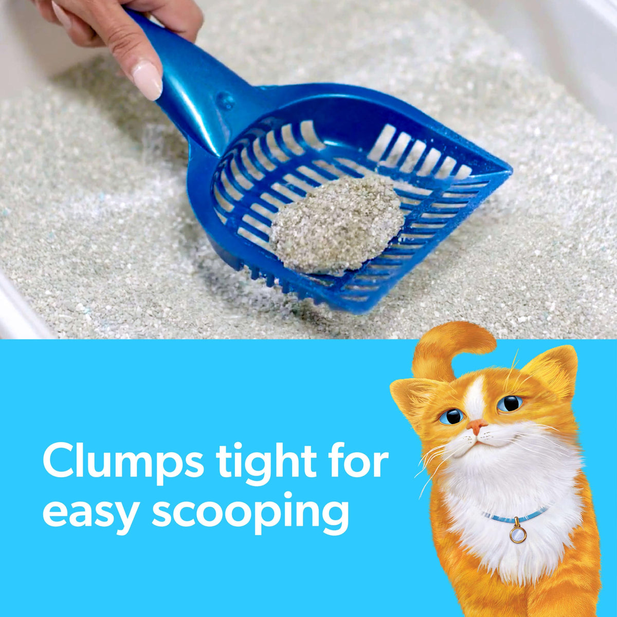 Multi Cat Clumping Cat Litter with Ammonia Block Tech 14 lb L490712