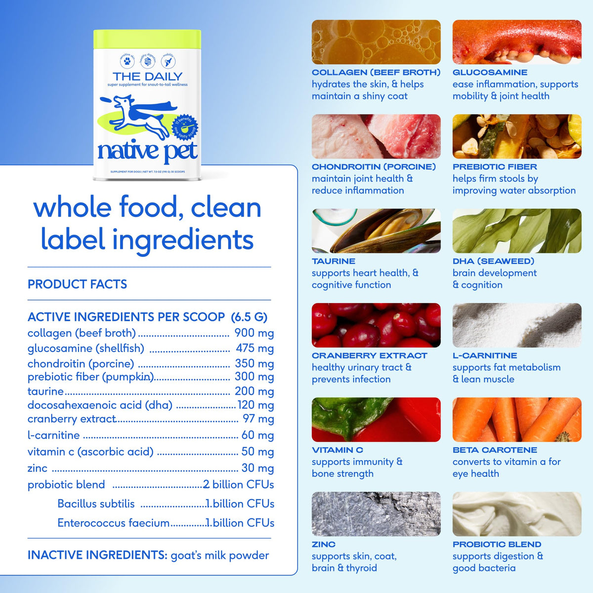 Dog Multivitamin Powder with Probiotics W653