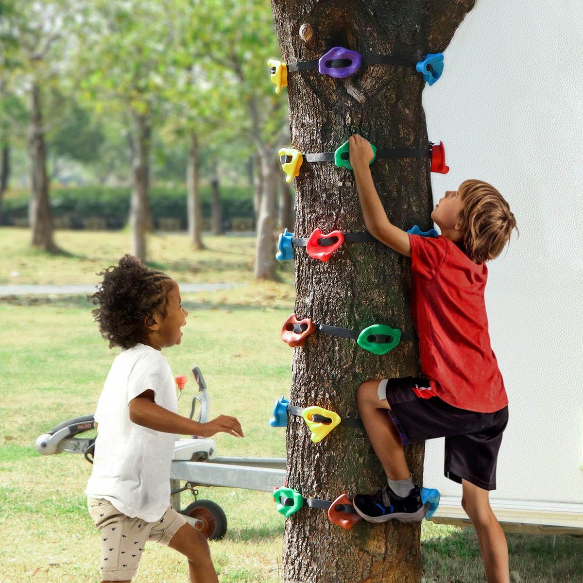 20 Tree Climbing Holds with 6 Ratchet Straps K49247