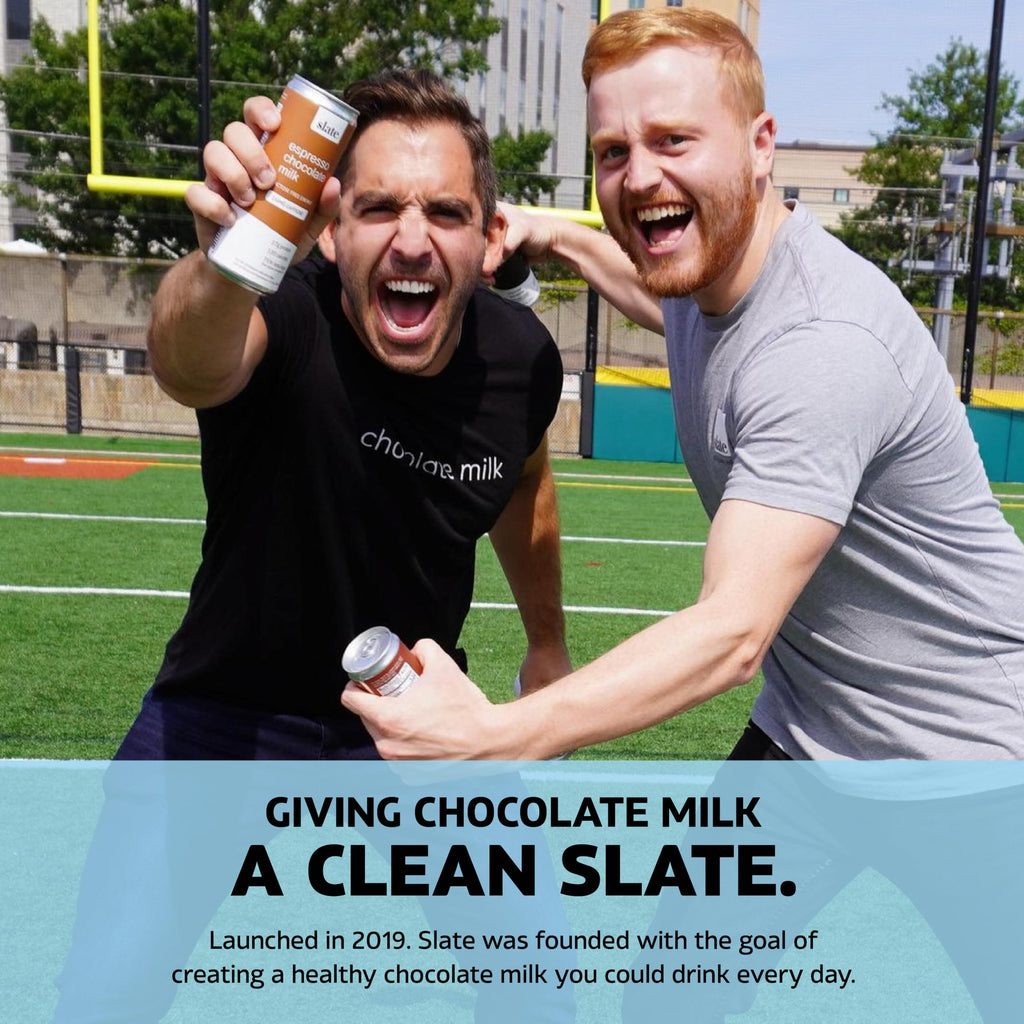 High Protein Milk Shake Classic Chocolate 12 Cans 11 fl oz T843