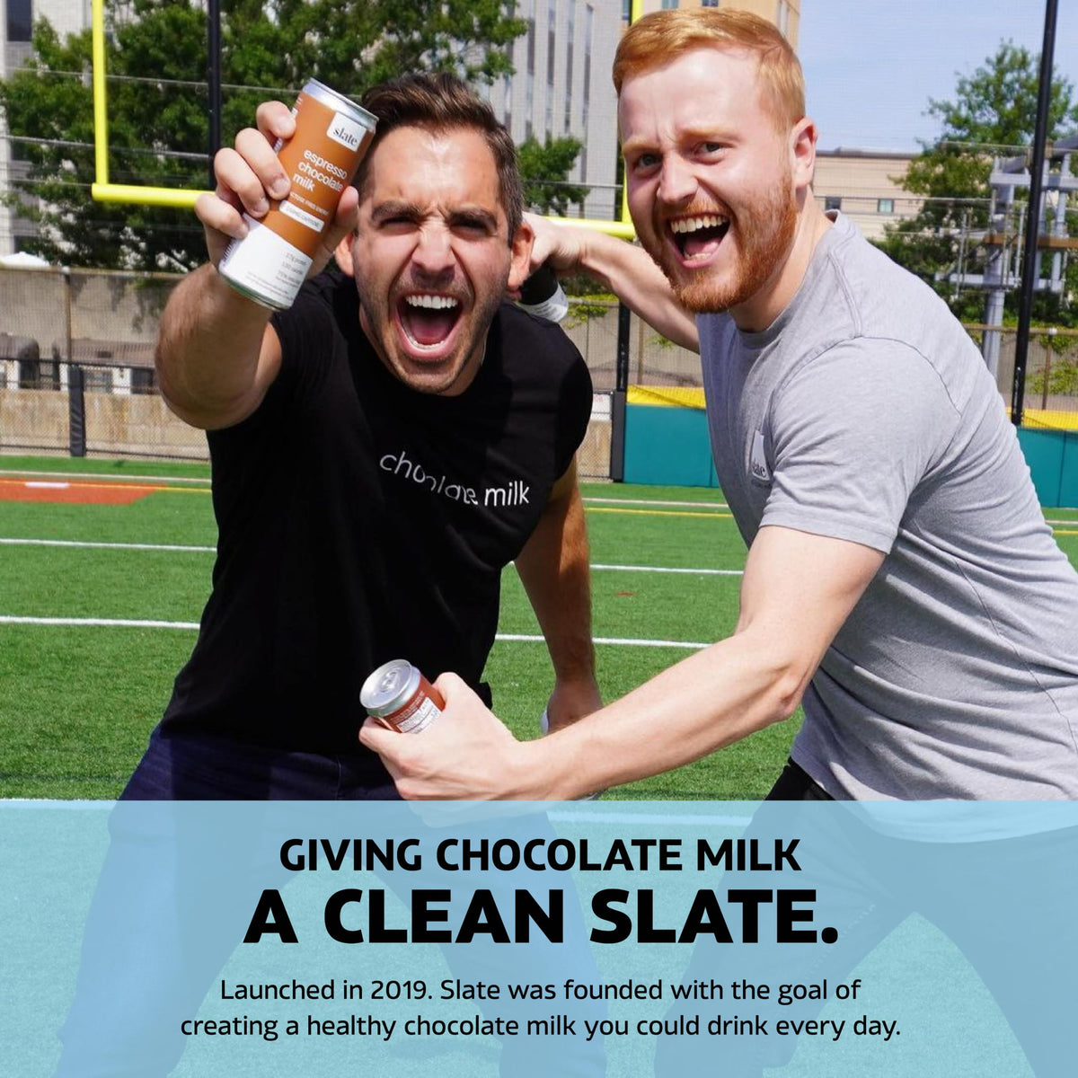 High Protein Milk Shake Classic Chocolate 12 Cans 11 fl oz T843