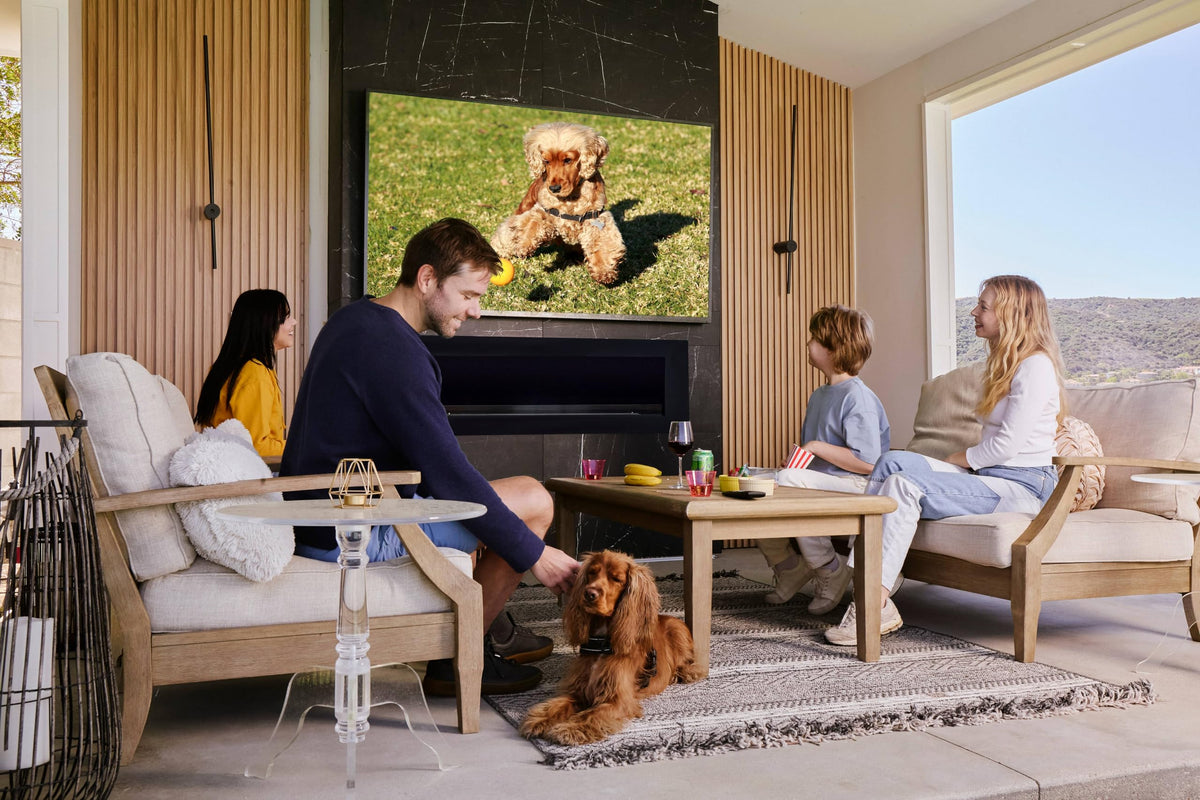 55" Smart Waterproof Outdoor TV I96739