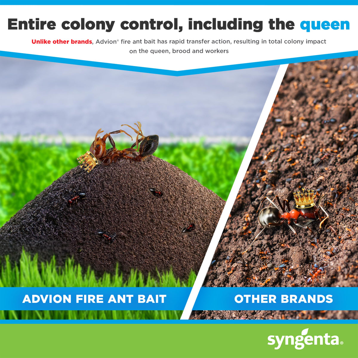 Fire Ant Bait Insecticide 2lb R579344